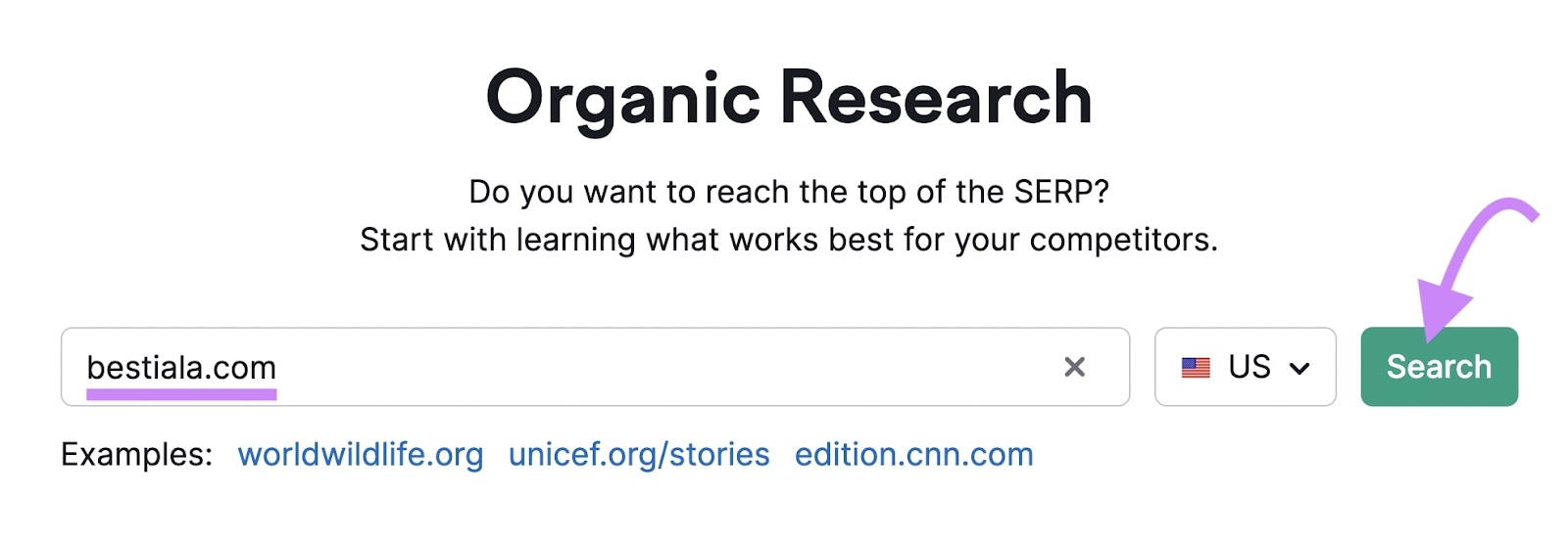 "bestiala.com" domain entered into the Organic Rankings tool search bar