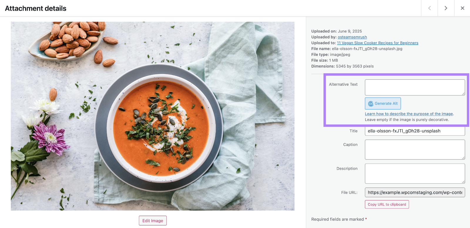 An image is open in WordPress Media Library, where there is a field for alternative text.