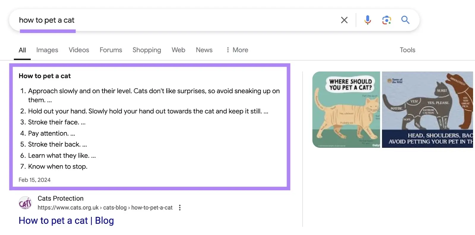 Google search result showing step-by-step list on how to pet a cat in featured snippet box.