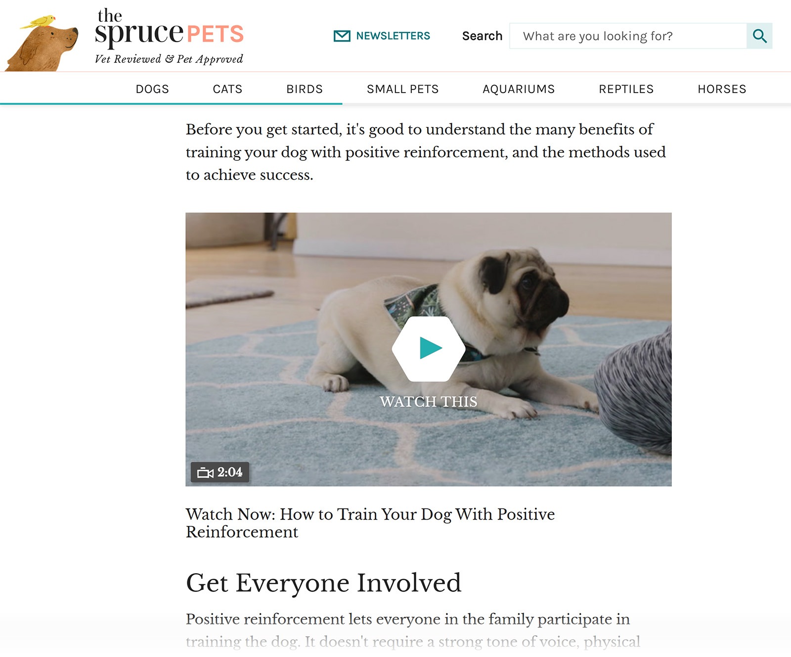 Blog post page with embedded dog training video and positive reinforcement content.