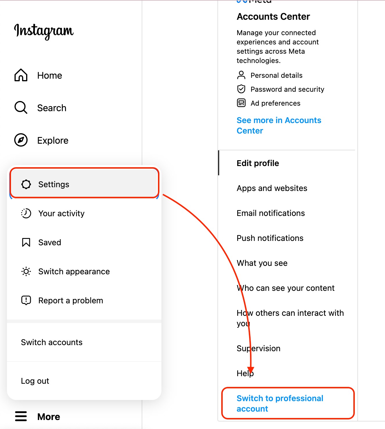 Instagram Settings: the "Switch to professional account" button is highlighted.